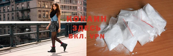 сатива Мегион