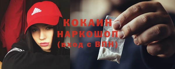 сатива Мегион