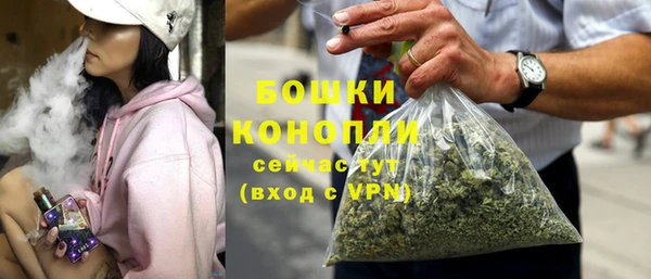 сатива Мегион