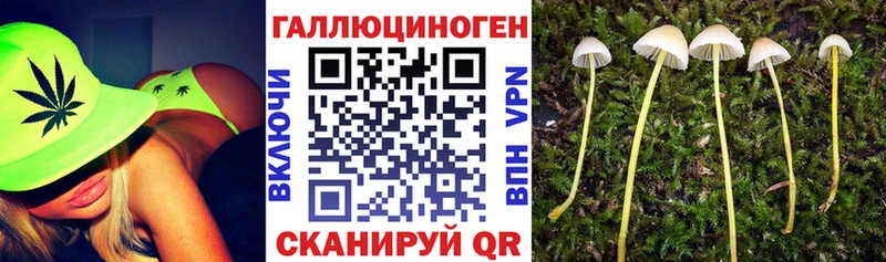 Псилоцибиновые грибы ЛСД сколько стоит Кисловодск