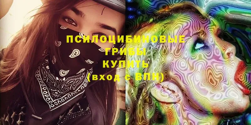 Псилоцибиновые грибы ЛСД  Кисловодск 