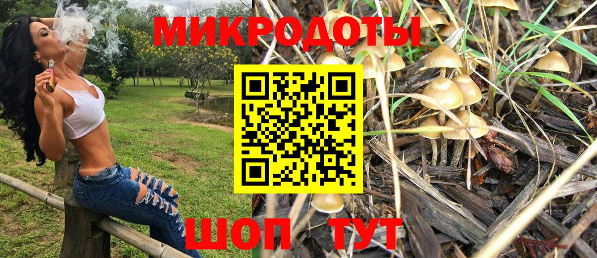 Псилоцибиновые грибы ЛСД  цена наркотик  Кисловодск 