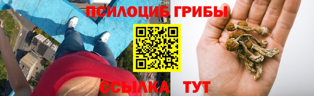 Галлюциногенные грибы Magic Shrooms Кисловодск